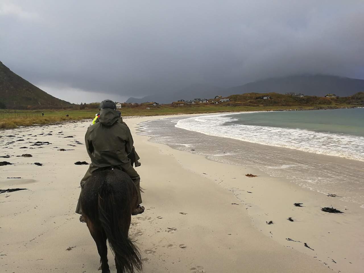 Icelandic horse riding in Norway