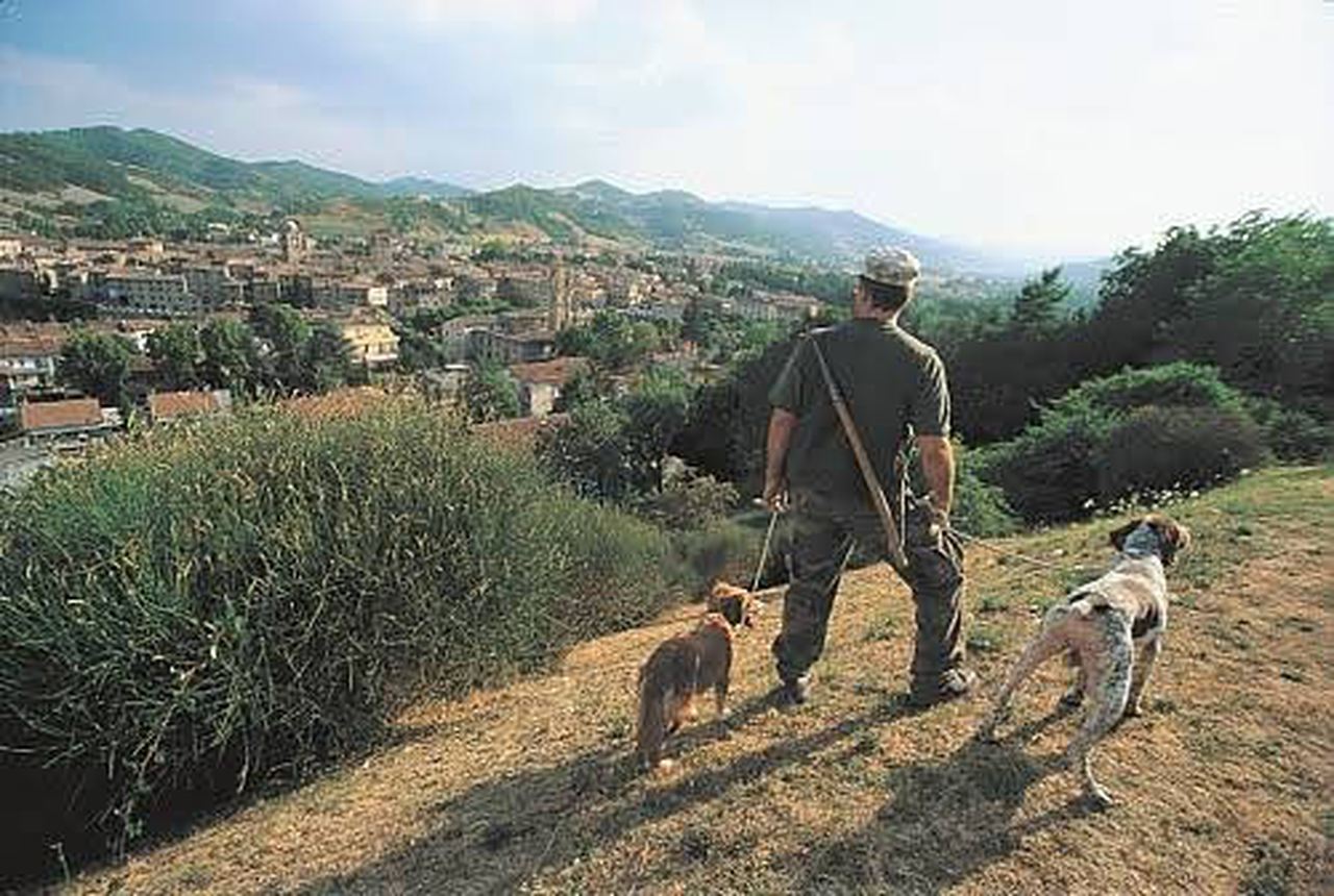 Truffle Hunting