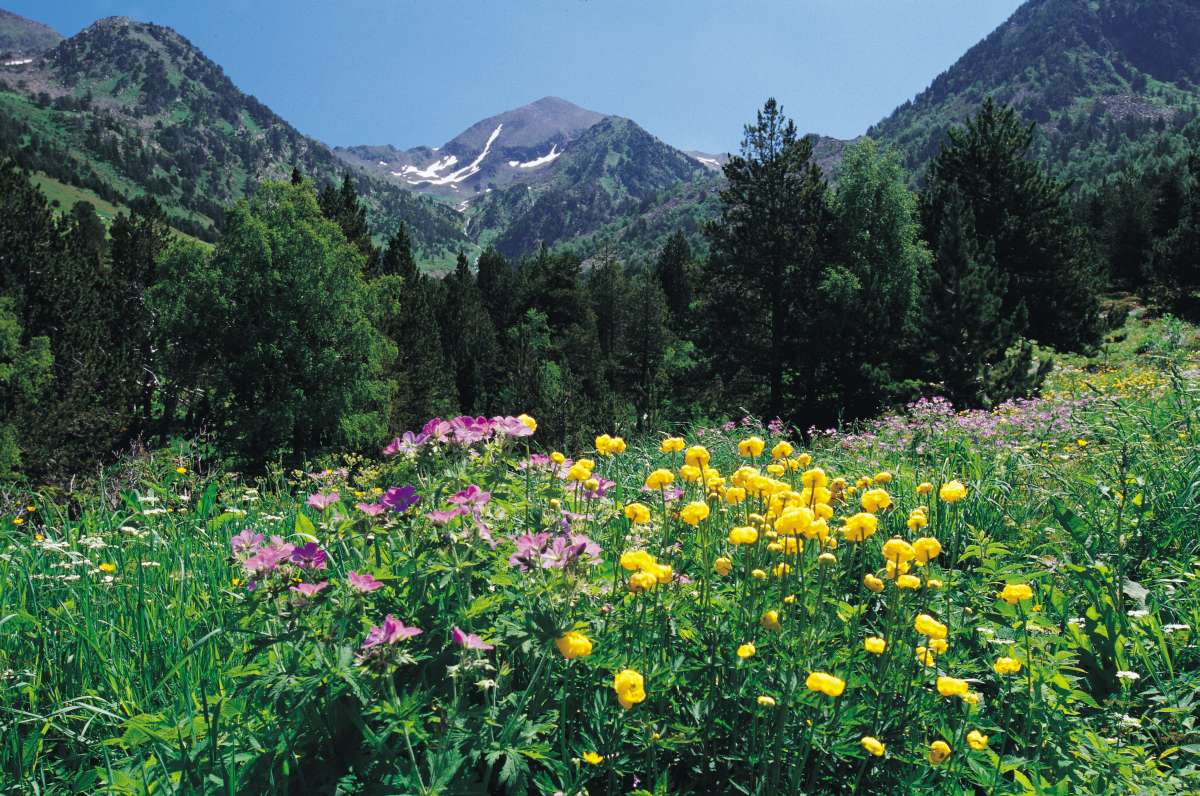 Vall de Sorteny, Andorra